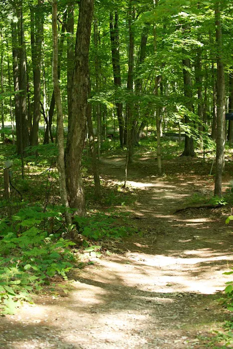 Tranquil Timbers Campground 4