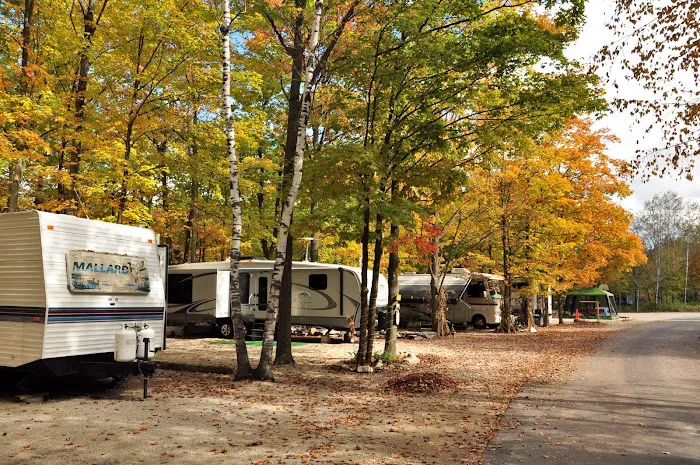 Tranquil Timbers Campground 5