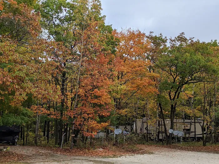 Tranquil Timbers Campground 8