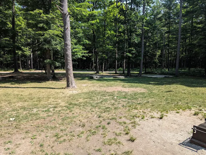 Group Campsite D 1