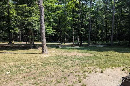 Group Campsite D
