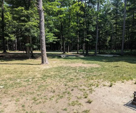 Group Campsite D