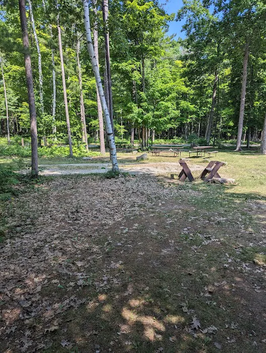 Group Campsite D 4
