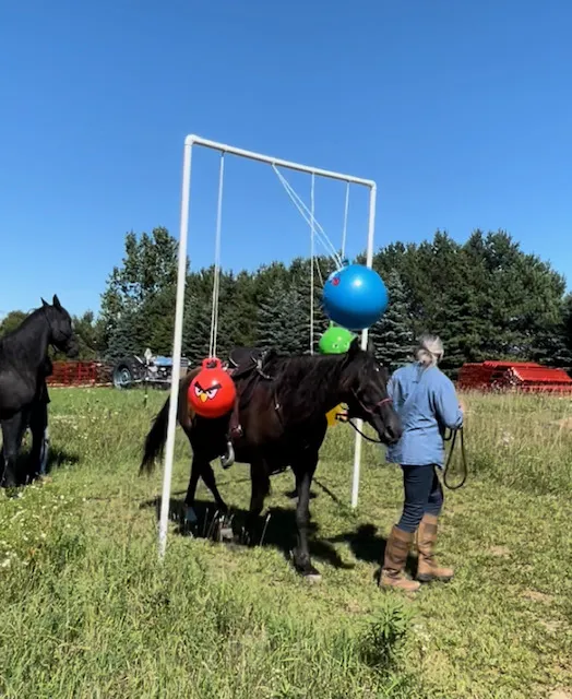 Geitner Homestead Equine Campground 3