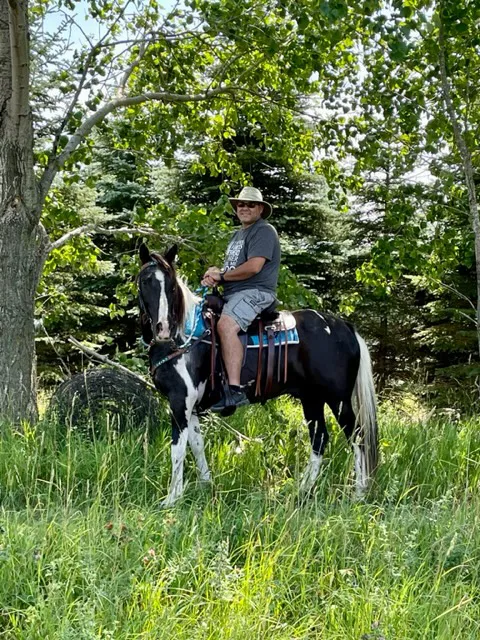 Geitner Homestead Equine Campground 7