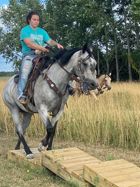Geitner Homestead Equine Campground 9