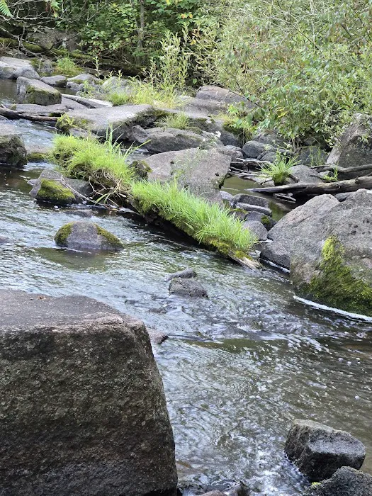 Jordan County Park Campground 2