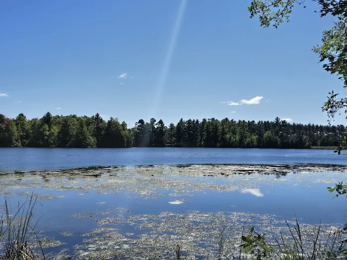 Jordan County Park Campground 3