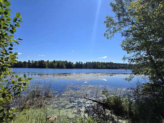 Jordan County Park Campground 5