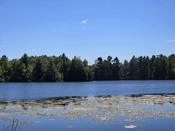 Jordan County Park Campground 7