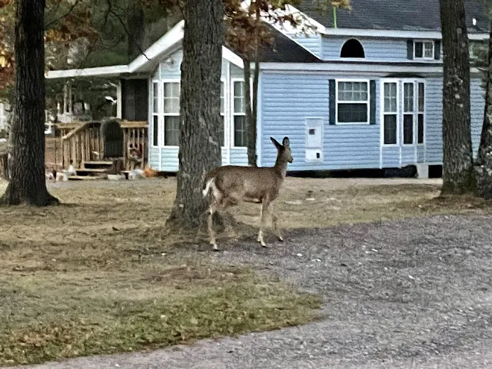 Crane Berry Campground, LLC 1