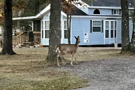 Crane Berry Campground, LLC