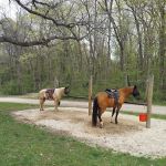 Forestville State Park Equestrian Campground