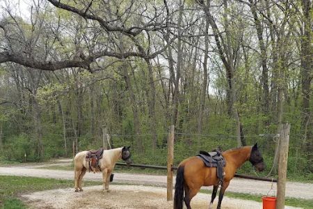 Forestville State Park Equestrian Campground