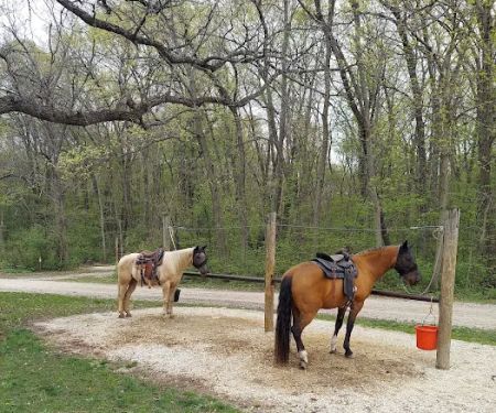 Forestville State Park Equestrian Campground
