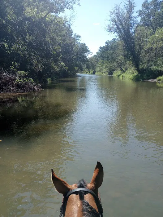 Forestville State Park Equestrian Campground 7