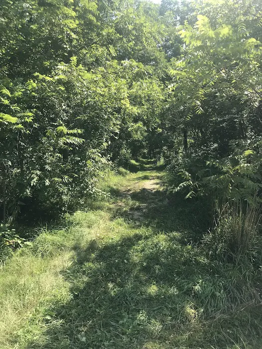 Isinours Station Campground 3