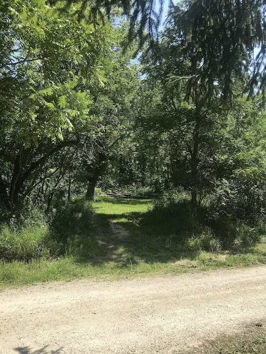 Isinours Station Campground 9