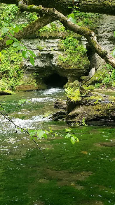 Maple Springs Campground 6