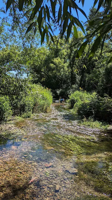 Maple Springs Campground 10