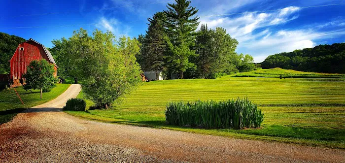 Maple Springs Campground 9