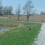Hidden Ridge Campground of NE.Mo.