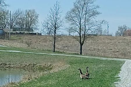 Hidden Ridge Campground of NE.Mo.