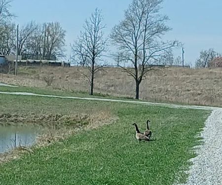 Hidden Ridge Campground of NE.Mo.
