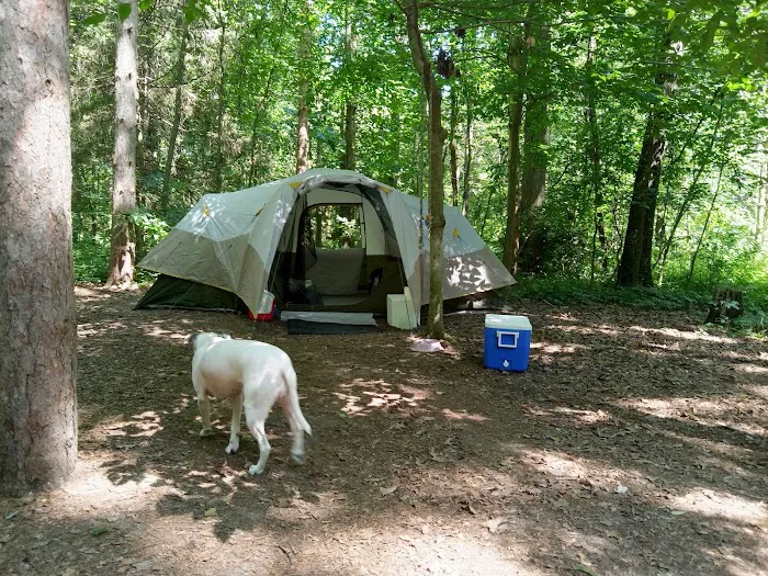 Life Adventures Camp 4