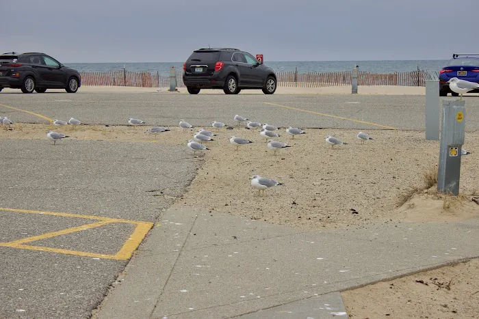 Grand Haven State Park Campground Parking Lot 6