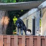 North Shore MHC & RV