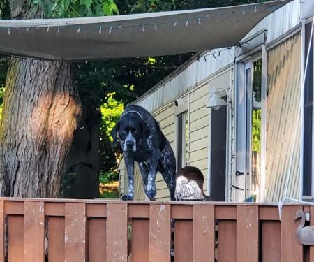 North Shore MHC & RV