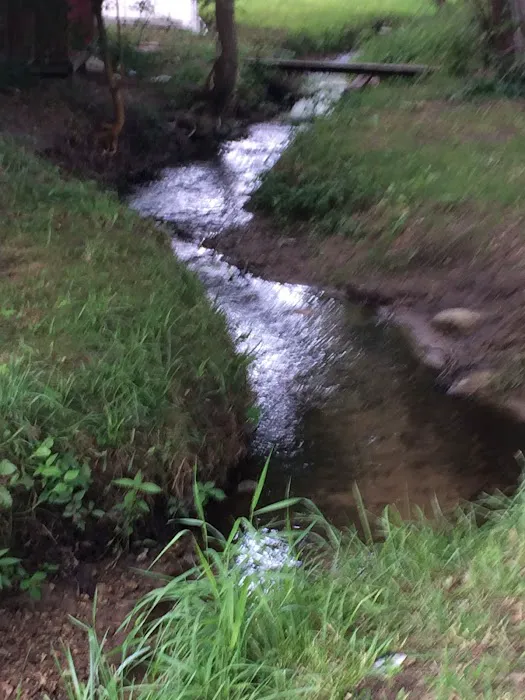 Brookhaven Park 4