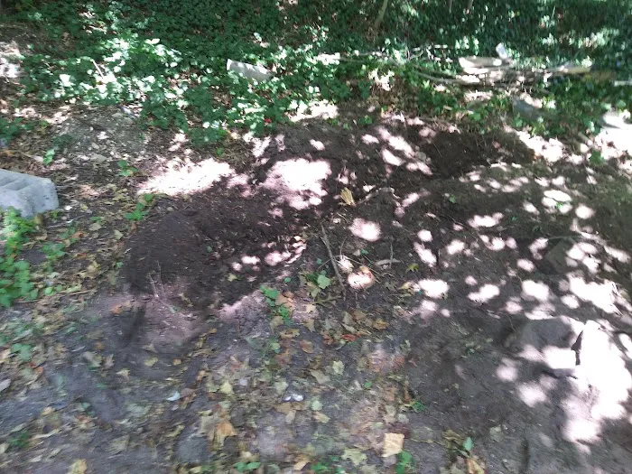Brookhaven Park 9