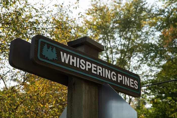 Whispering Pines 4