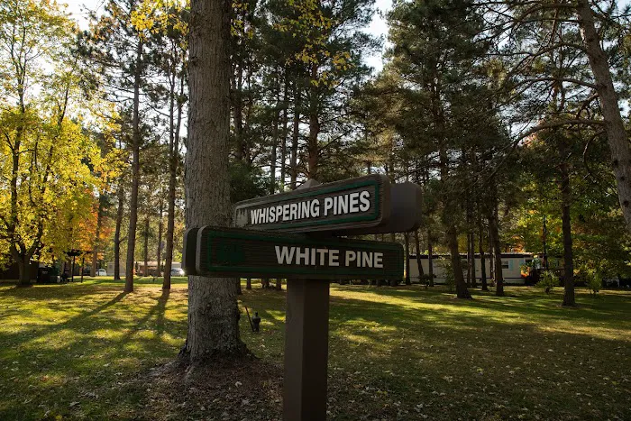 Whispering Pines 10