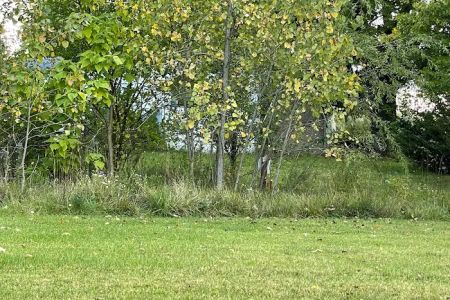 Willow Haven Mobile Home Park