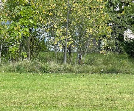 Willow Haven Mobile Home Park