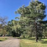 Country Manor Mobile Home Park & Mini Storage