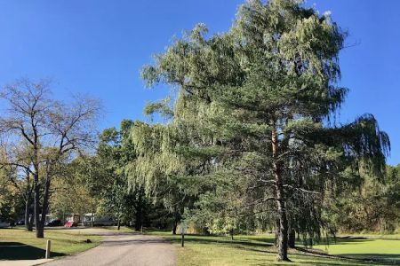 Country Manor Mobile Home Park & Mini Storage