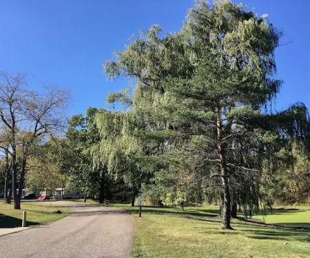Country Manor Mobile Home Park & Mini Storage