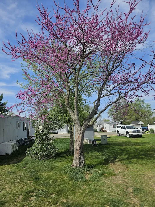 Jackson Mobile Home Park 8
