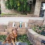 Indian Village Mobile Home Community