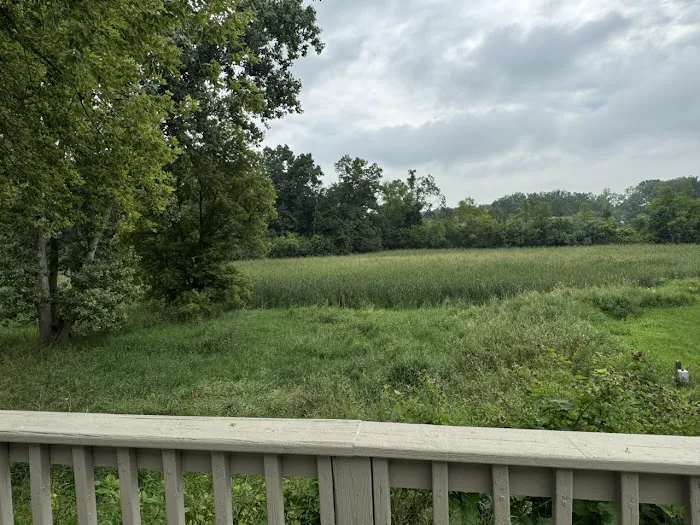 My Place at Cattail Estates 1