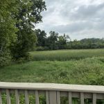 My Place at Cattail Estates