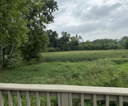 My Place at Cattail Estates