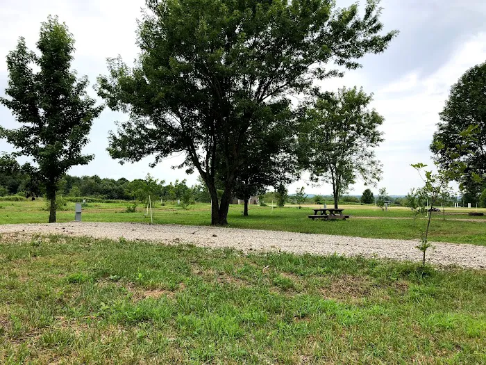 Miles Landing Campground 6