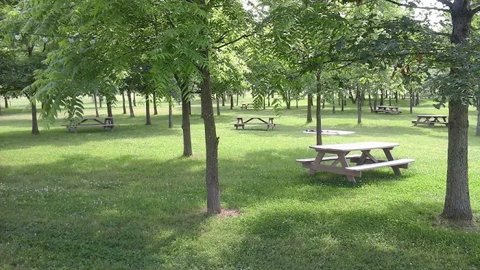 Miles Landing Campground 4