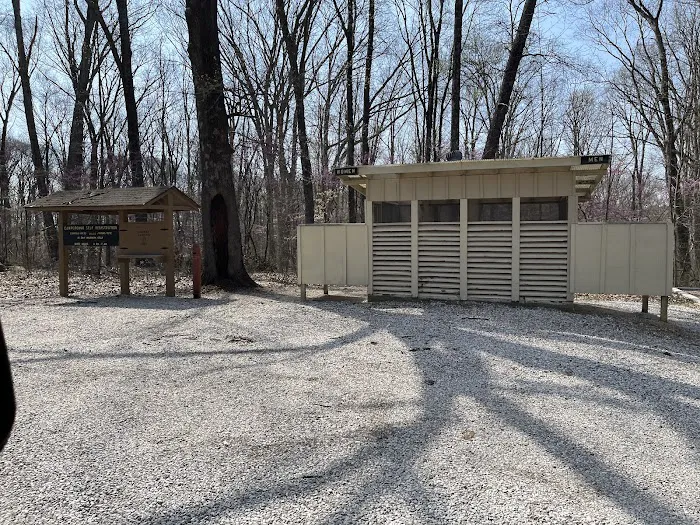 Martin State Forest Campground 2