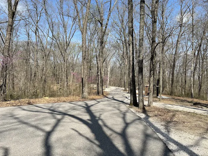 Martin State Forest Campground 1